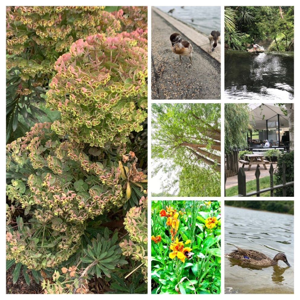Photo Competition